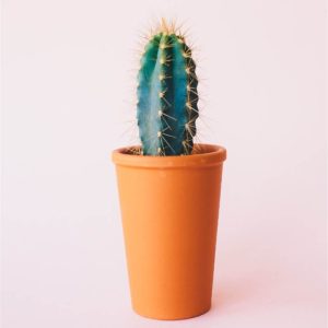 Macetas de cerámica para jardín