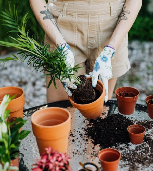 Macetas de cerámica para jardín. - Imagen 2